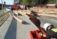 Wywrotka ciężarówki wiozącej drzewo - zdjęcie główne