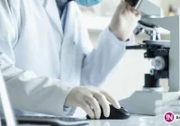 Polscy badacze: opracowaliśmy skuteczną terapię na stwardnienie rozsiane - zdjęcie główne