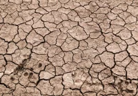 Ekspert: susza - mimo ulewnych opadów - zdjęcie główne