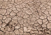 Hydrolog: jest bardzo sucho, a będzie jeszcze gorzej - zdjęcie główne