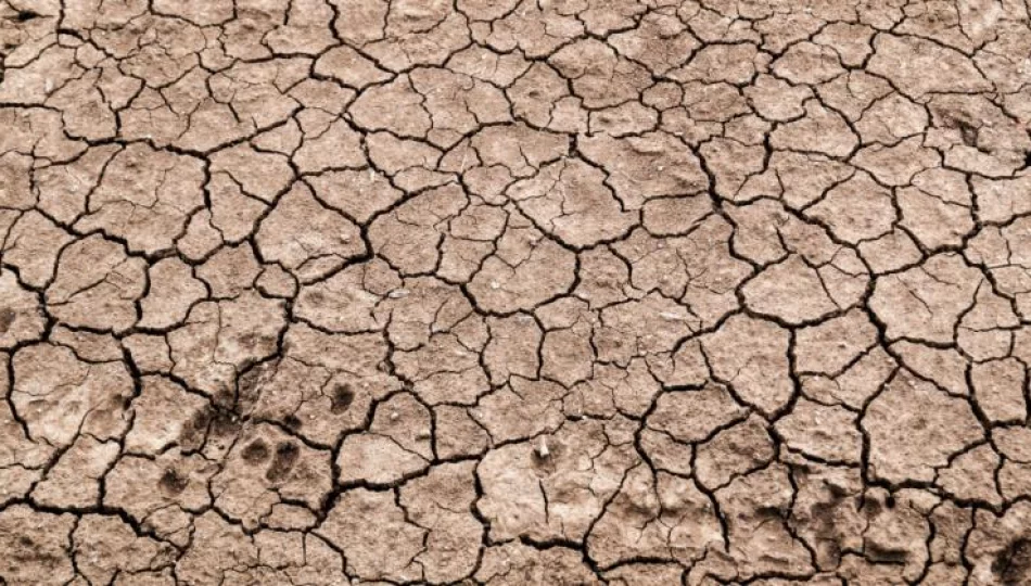 Hydrolog: jest bardzo sucho, a będzie jeszcze gorzej - zdjęcie 1