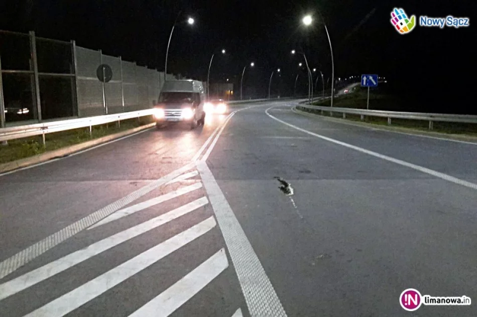 Obwodnica otwarta - łatwiejszy wjazd do miasta - zdjęcie 2