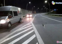 Obwodnica Północna otwarta! - zdjęcie główne