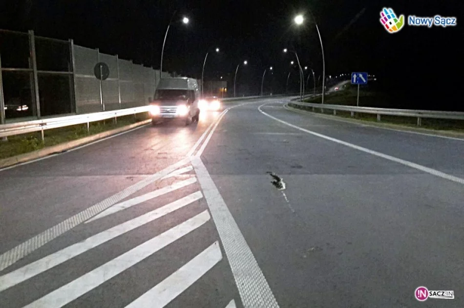 Obwodnica Północna otwarta! - zdjęcie 2