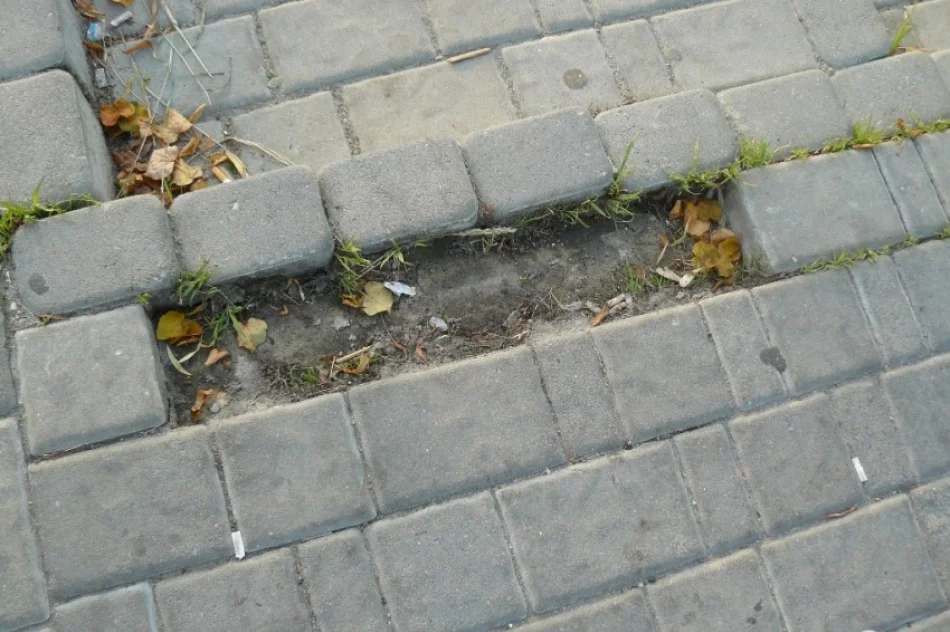 Znowu kradną kostkę na „Kocich Plantach” - zdjęcie 2