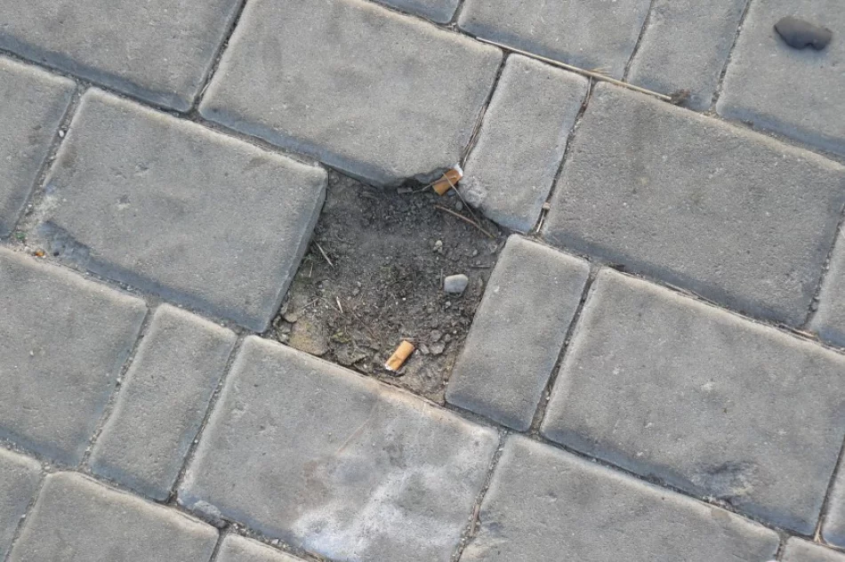 Znowu kradną kostkę na „Kocich Plantach” - zdjęcie 3