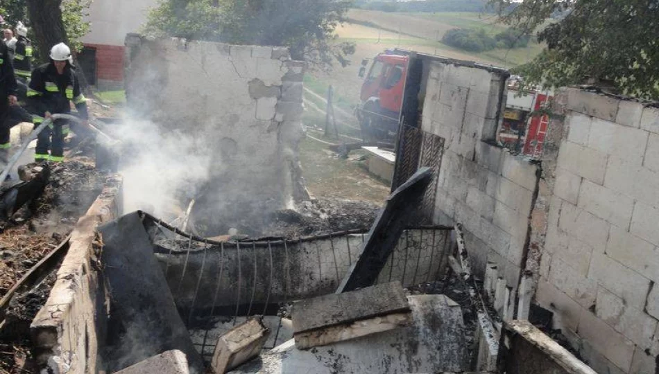 Jelna: pożar budynku gospodarczego - zdjęcie 1