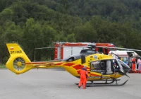 Zmarł 70-latek, na którego prawdopodobnie spadła ścinana gałąź - zdjęcie główne