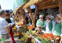 18. przegląd dorobku Kół Gospodyń Wiejskich  - zdjęcie główne