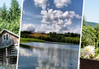 Uwaga na oszustów - bon nie podlega wymianie! - zdjęcie główne