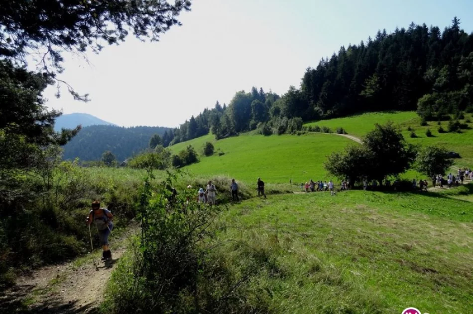 Jutro następna wędrówka w ramach OBW - zdjęcie 2