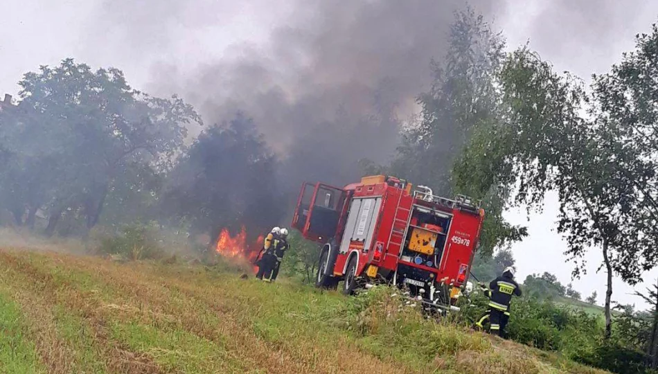 Samochód uderzył w drzewo i stanął w płomieniach - zdjęcie 1