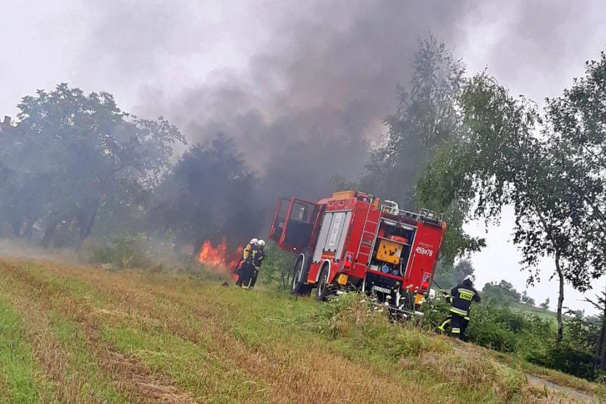 Samochód uderzył w drzewo i stanął w płomieniach