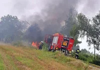 Samochód uderzył w drzewo i stanął w płomieniach - zdjęcie główne
