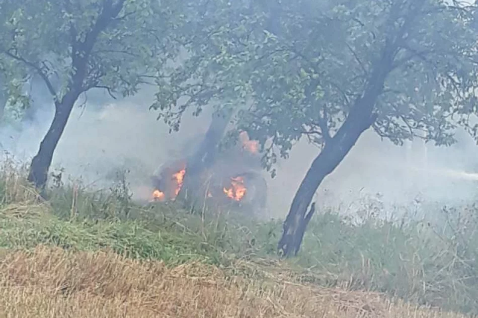 Samochód uderzył w drzewo i stanął w płomieniach - zdjęcie 2