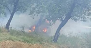 Samochód uderzył w drzewo i stanął w płomieniach - zdjęcie 2