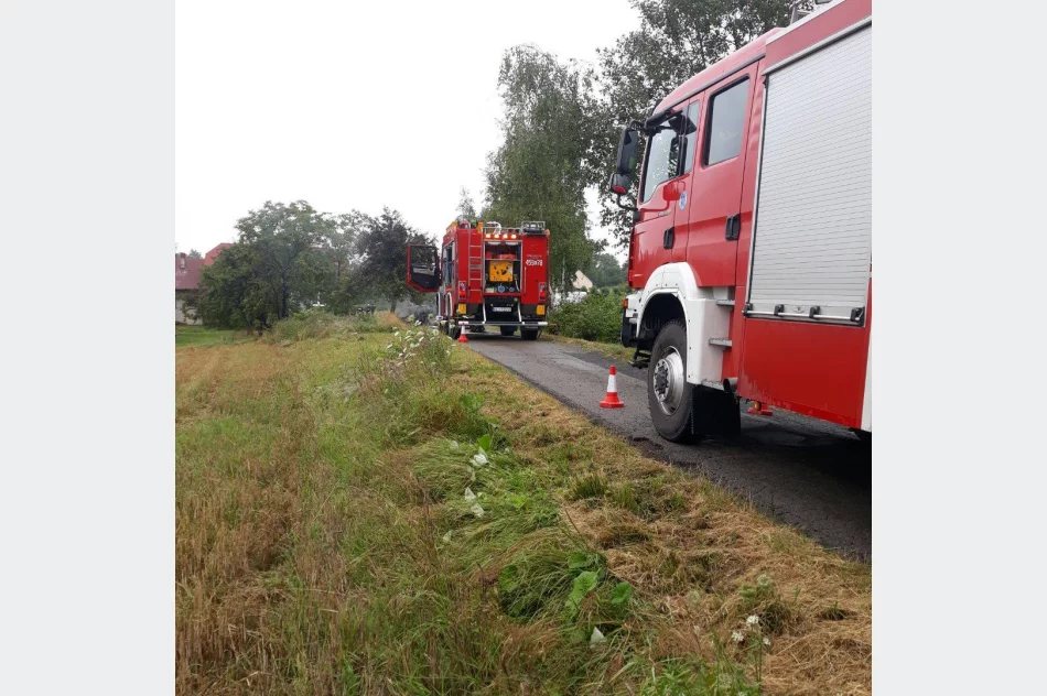 Samochód uderzył w drzewo i stanął w płomieniach - zdjęcie 3