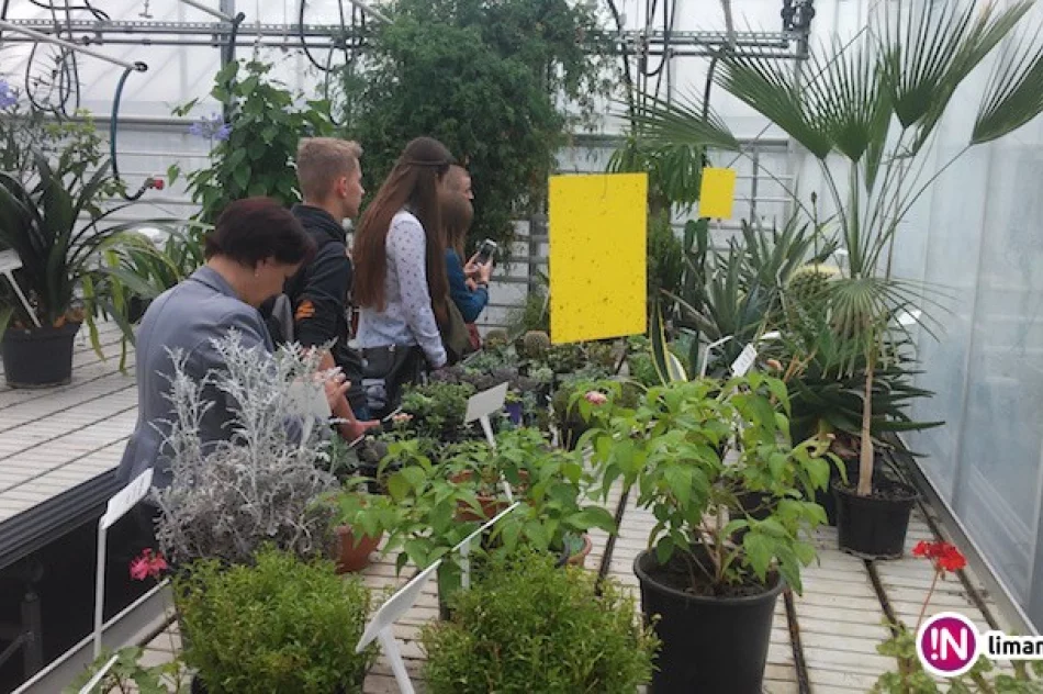 Młodzi architekci na Święcie Ogrodów - zdjęcie 3