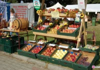 25. Wystawa Rolnicza AGROPROMOCJA 2015 - zdjęcie główne