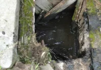 Nie żyje mężczyzna, który wpadł do gnojowicy - zdjęcie główne