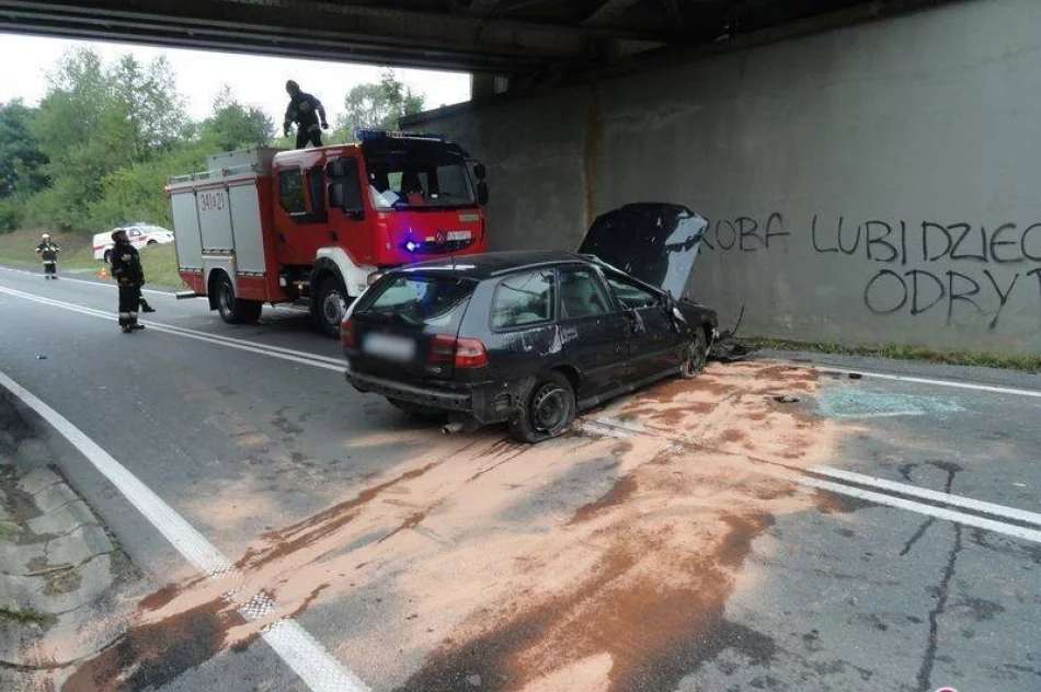 Siołkowa – samochód wypadł z drogi - zdjęcie 3