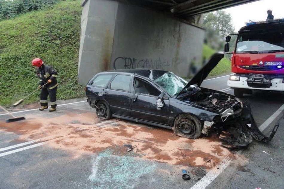 Siołkowa – samochód wypadł z drogi - zdjęcie 4