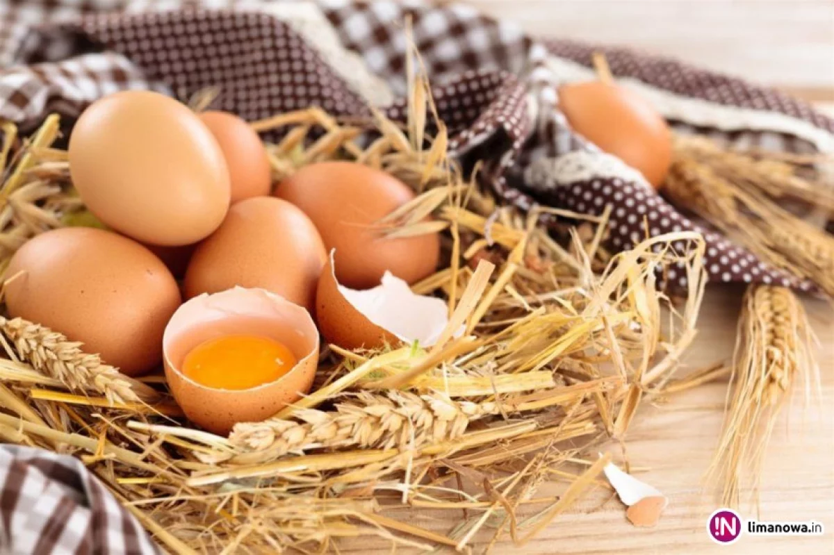 Cholesterol z jajek - nie taki straszny, jak go dawniej malowano