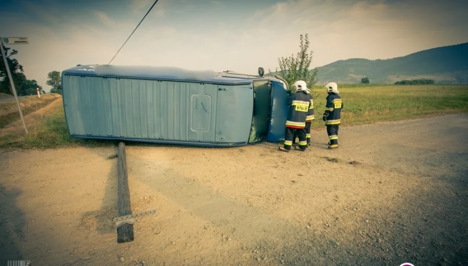 Wypadł z drogi i uderzył w słup. Dwie osoby w szpitalu - zdjęcie 1