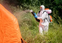 Koronawirus na kolejnym weselu. Goście w kwarantannie, w niedzielę pobiorą od nich wymazy - zdjęcie główne