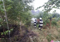 Burze i grad. Powalone drzewa i pożary traw - kilka interwencji straży - zdjęcie główne