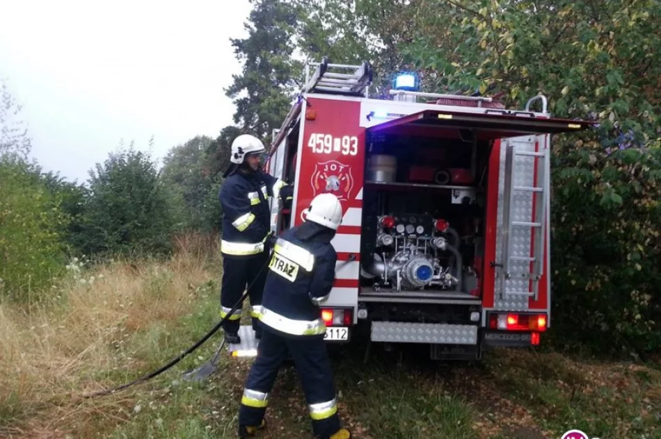 Burze i grad. Powalone drzewa i pożary traw - kilka interwencji straży - zdjęcie 2