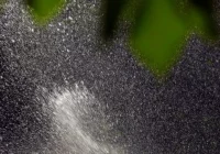 Wójt apeluje do wszystkich mieszkańców: woda tylko do celów spożywczych i sanitarnych - zdjęcie główne