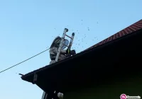 Plaga szerszeni. Ponad 200 interwencji straży - zdjęcie główne
