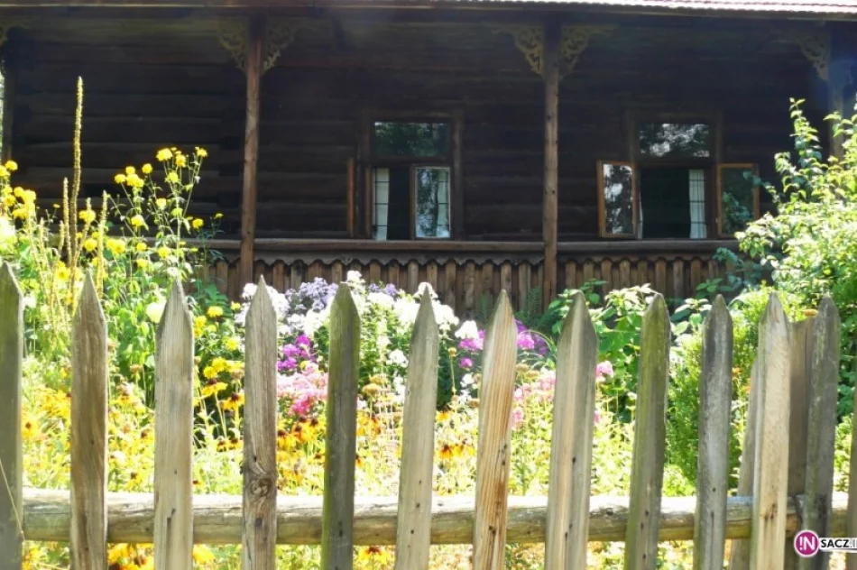 Moc bukietów na Święto Matki Boskiej Zielnej - zdjęcie 3