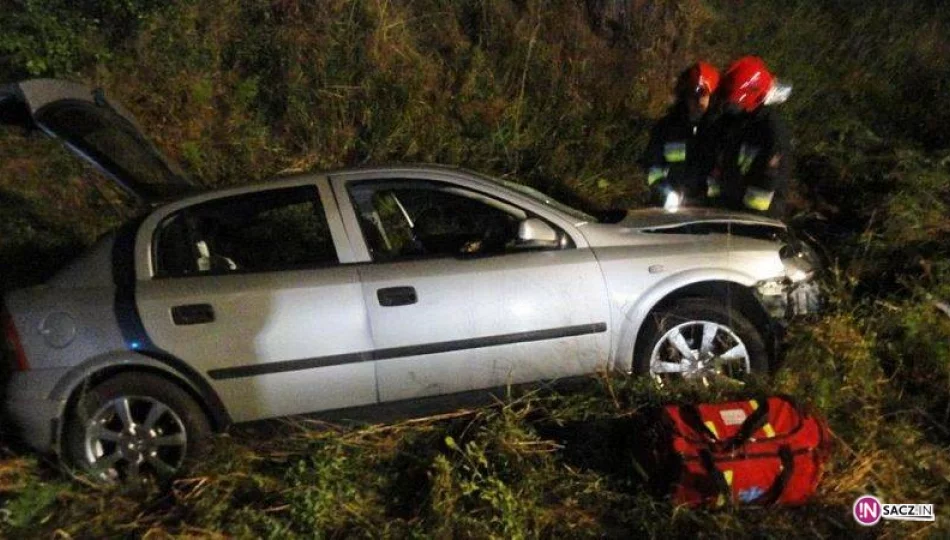 Krynica Zdrój, ulica Sądecka – samochód osobowy wypadł z drogi - zdjęcie 1