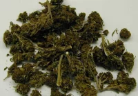 Policja zatrzymała osiemnastolatka z narkotykami - zdjęcie główne