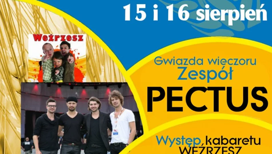 W weekend gminne dożynki - wystąpi Pectus! - zdjęcie 1