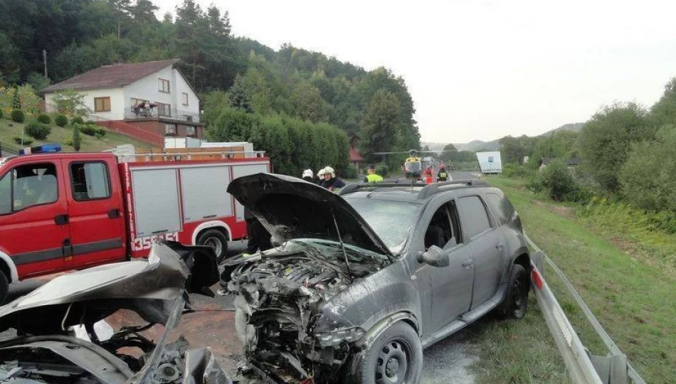 Witowice Dolne – trzy osoby ranne w czołówce - zdjęcie 1