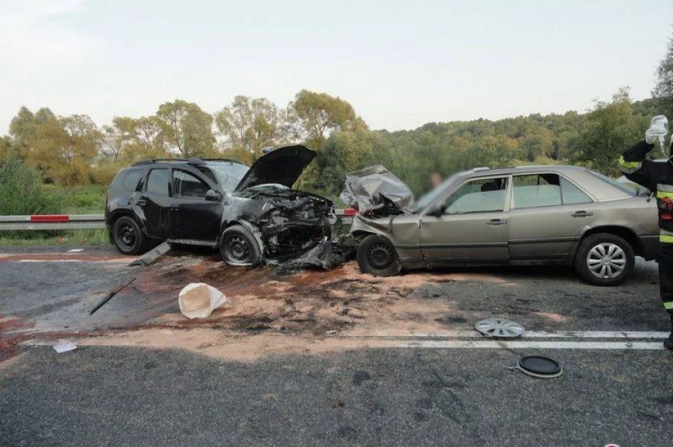 Witowice Dolne – trzy osoby ranne w czołówce - zdjęcie 2