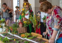 Zielarskie warsztaty w Pisarzowej w ramach Otwartej Pracowni na Szlaku Rzemiosła - zdjęcie główne