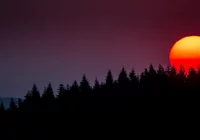 Ostrzeżenia: upały do 36 st. C. przez cały tydzień, dziś możliwe burze i grad - zdjęcie główne