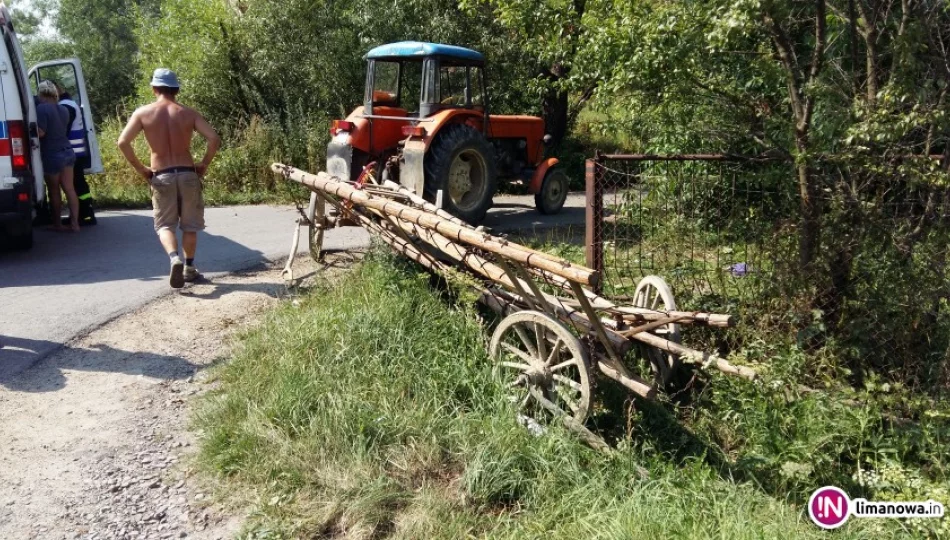 Samochód uderzył w wóz ciągnięty przez traktor. Jedna osoba trafiła do szpitala - zdjęcie 1