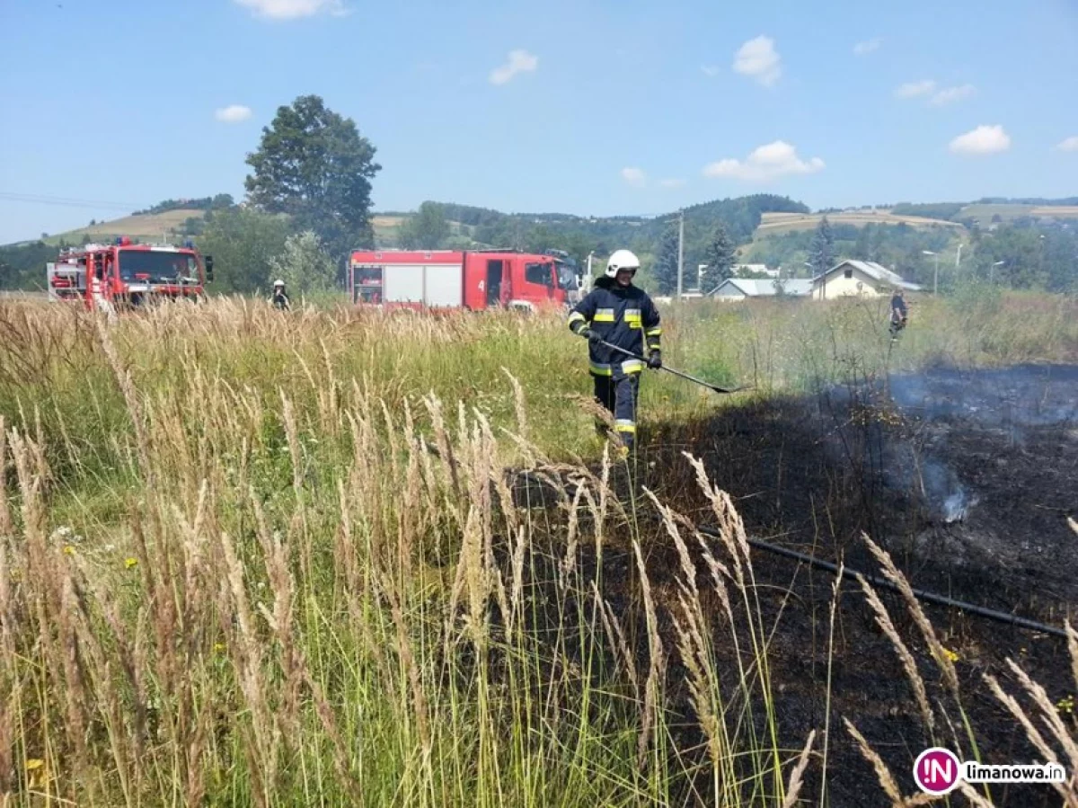 Pożary traw i zarośli - strażacy apelują o ostrożność