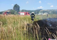 Pożary traw i zarośli - strażacy apelują o ostrożność - zdjęcie główne