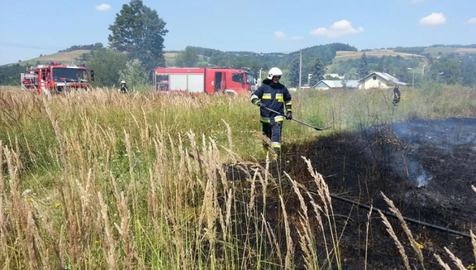 Pożary traw i zarośli - strażacy apelują o ostrożność - zdjęcie 1