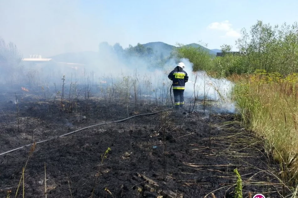 Pożary traw i zarośli - strażacy apelują o ostrożność - zdjęcie 2