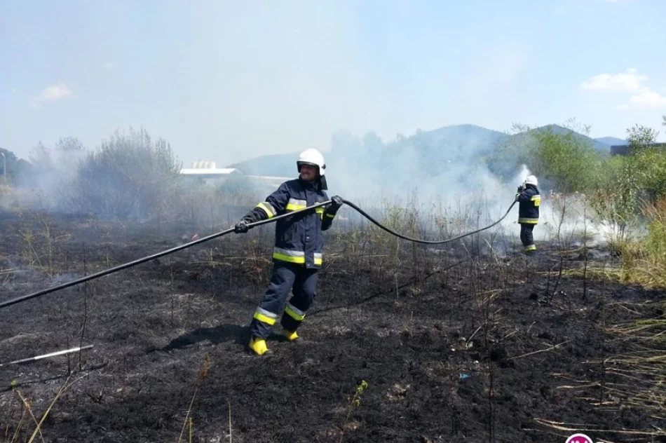 Pożary traw i zarośli - strażacy apelują o ostrożność - zdjęcie 3