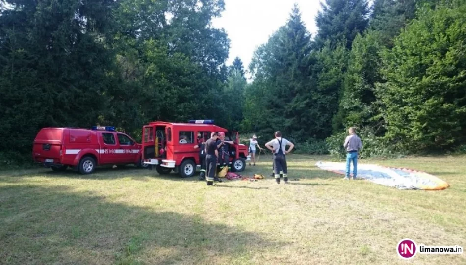 Paralotniarz utknął w koronie drzewa - zdjęcie 1