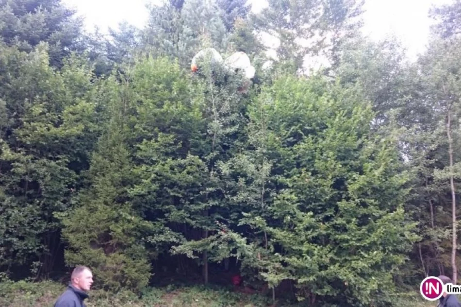 Paralotniarz utknął w koronie drzewa - zdjęcie 2