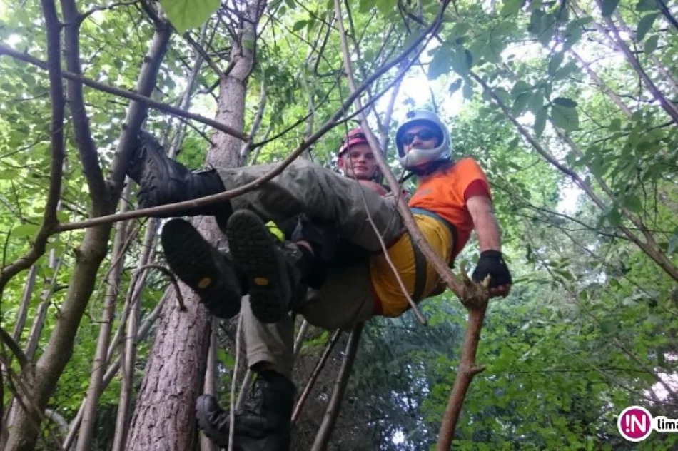Paralotniarz utknął w koronie drzewa - zdjęcie 3